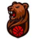 Bears