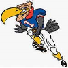 Dirty Birds