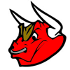 Toros