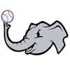 Elephants