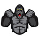 Great Apes