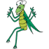 Grasshoppers