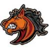 Mustangs