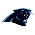 Panthers