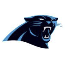Panthers