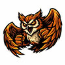 Owls