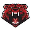 Bears