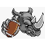 Rowdy Rhinos
