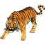 Tigers