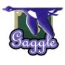 Gaggle