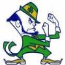 Fighting Irish