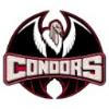 Condors