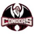 Condors