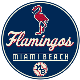 Flamingos