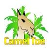 Camel Toes