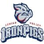 Iron Pigs