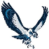 Seahawks