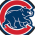 Lost Cubs