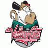 ValleyCats