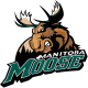 Moose