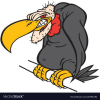 Buzzards
