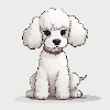 Poodles