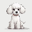 Poodles