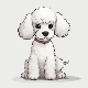 Poodles