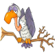 Buzzards