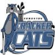 Cracker Cats