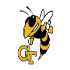 Yellow Jackets