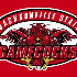 GAMECOCKS