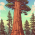 Redwoods