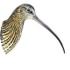 Curlews