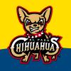 Chihuahuas SD