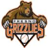 Grizzlies HOU