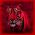 BENGALS