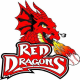 Dragons