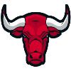 Bulls