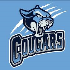 Cougars