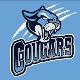 Cougars