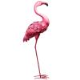 Flamingos