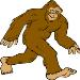 Sasquatsh
