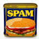 Spam Fighters