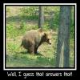 Bears