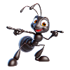 Ants