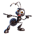 Ants