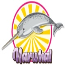 Narwhals
