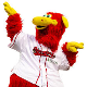 Mascots