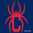 Spiders